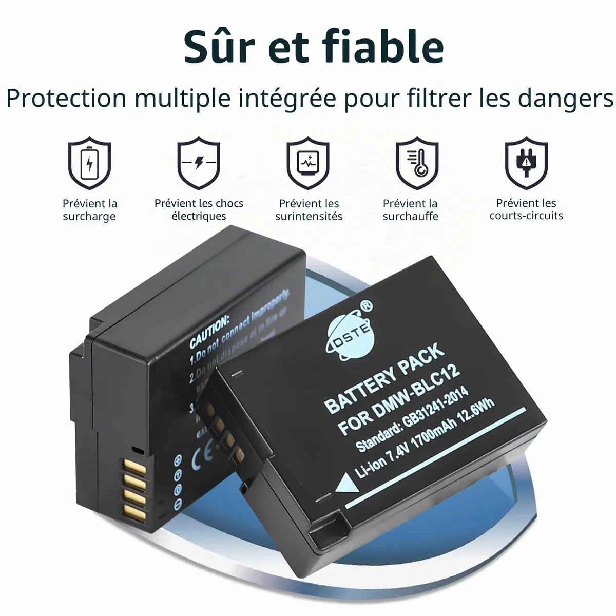 DSTE 2PCS DMW-BLH7E Batterie & Chargeur Compatible pour Panasonic Lumix DSC-GM1 DMC-GF7K DMC-GM1K