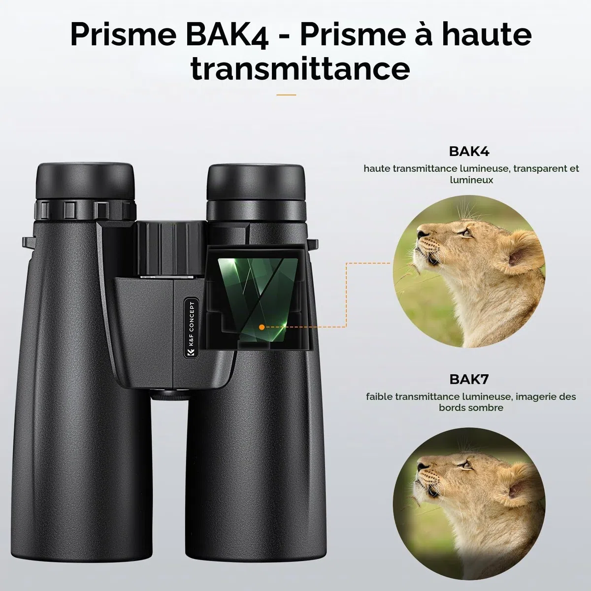 K&F CONCEPT Jumelles Adultes 12 * 50 HD Noir avec Support pour Téléphone Portable et Support de Conversion en Trépied pour Extérieur Chasse, Observation Oiseaux, Voyage, Randonnee | avec Support pour Téléphone et Support de Conversion en Trépied pour Exté