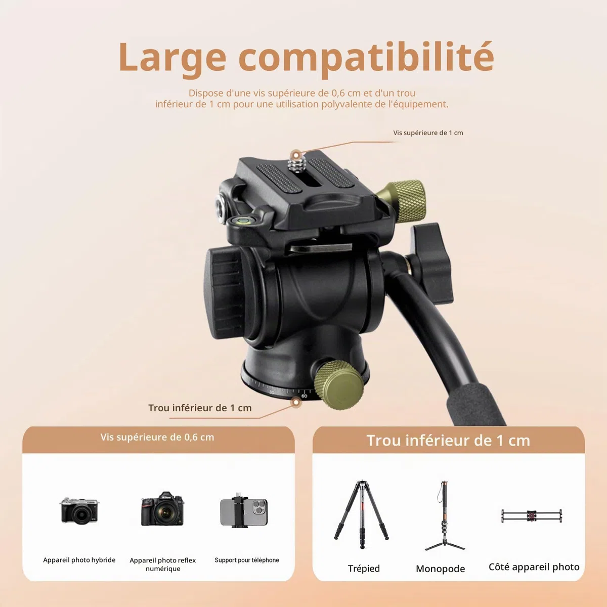 Cayer CH10L Trépied en Fibre de Carbone avec rotule Miniature S1, trépied de Bureau Compact 28", pour appareils Photo sans Miroir, caméscope, téléphone Portable, Webcam