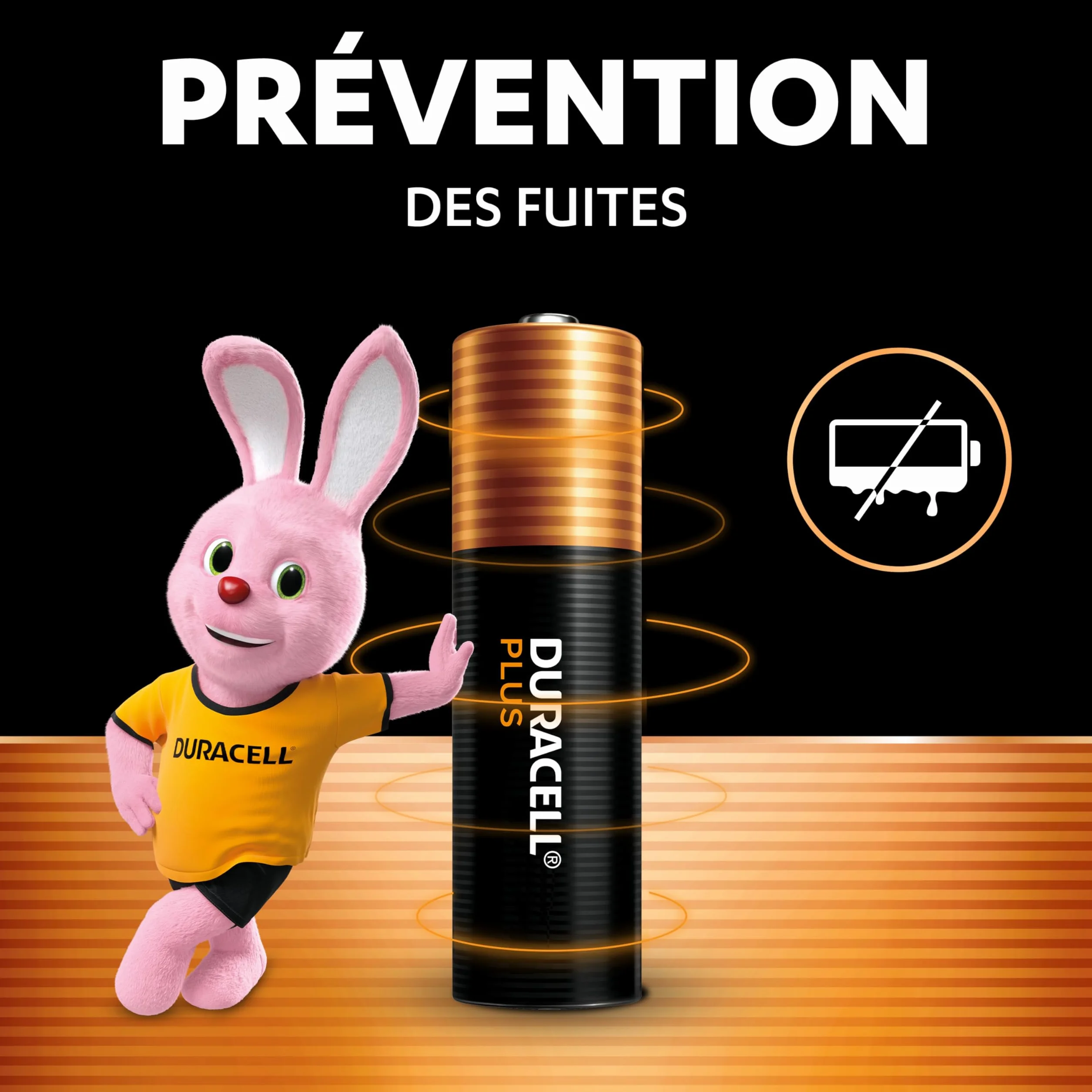 DURACELL Plus Piles AAA 1,5 V Alcalines Lot de 30