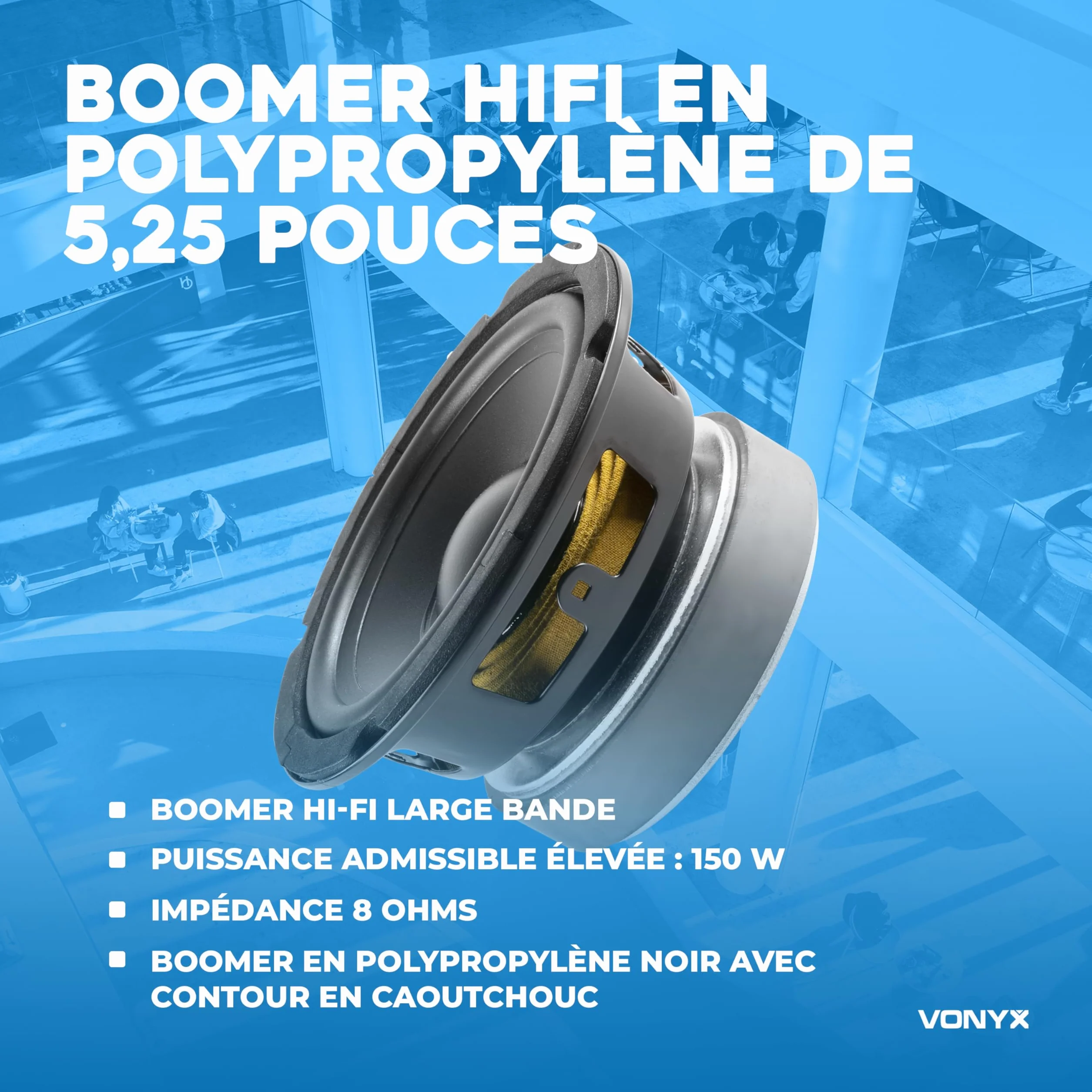 Vonyx WPP13 Haut-Parleur de Graves 13cm 150W 8 Ohms Cône 5,25 Pouces