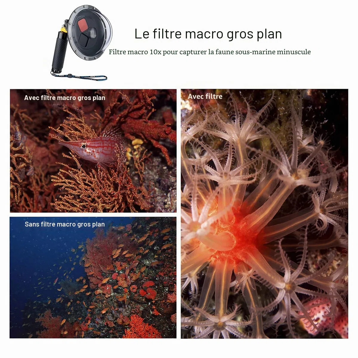 Port dôme étanche pour GoPro Hero 13 12 11 10 9 noir avec filtres commutables intégrés, poignée flottante, déclencheur, boîtier dôme sous-marin pour GoPro 9 10 11 12 13 Noir