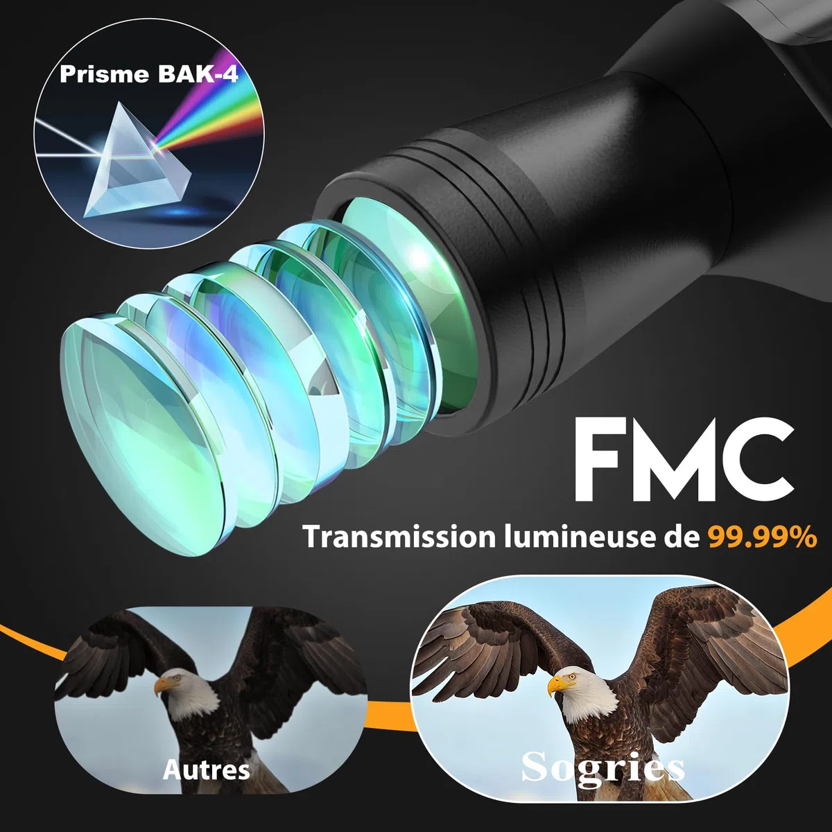 Jumelles HD 10x50 pour Adultes. Jumelles puissantes | Étanche et compact, adapté à l'observation des oiseaux et aux voyages. Vision par faible luminosité, poignée antidérapante