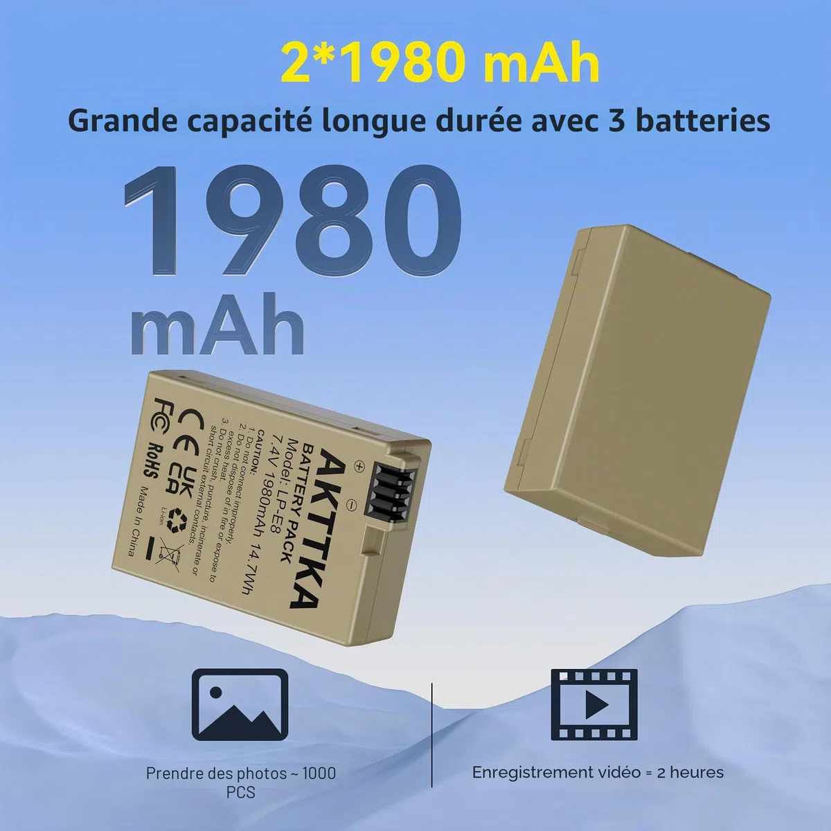 LP-E8 Lot de 2 Batteries de Rechange 1980 mAh et Chargeur Rapide Double pour Canon LP-E8, Compatible avec Canon EOS Rebel T2i, T3i, T4i, T5i, 550D, 600D, 650D, 700D, Kiss X4, X5, X6