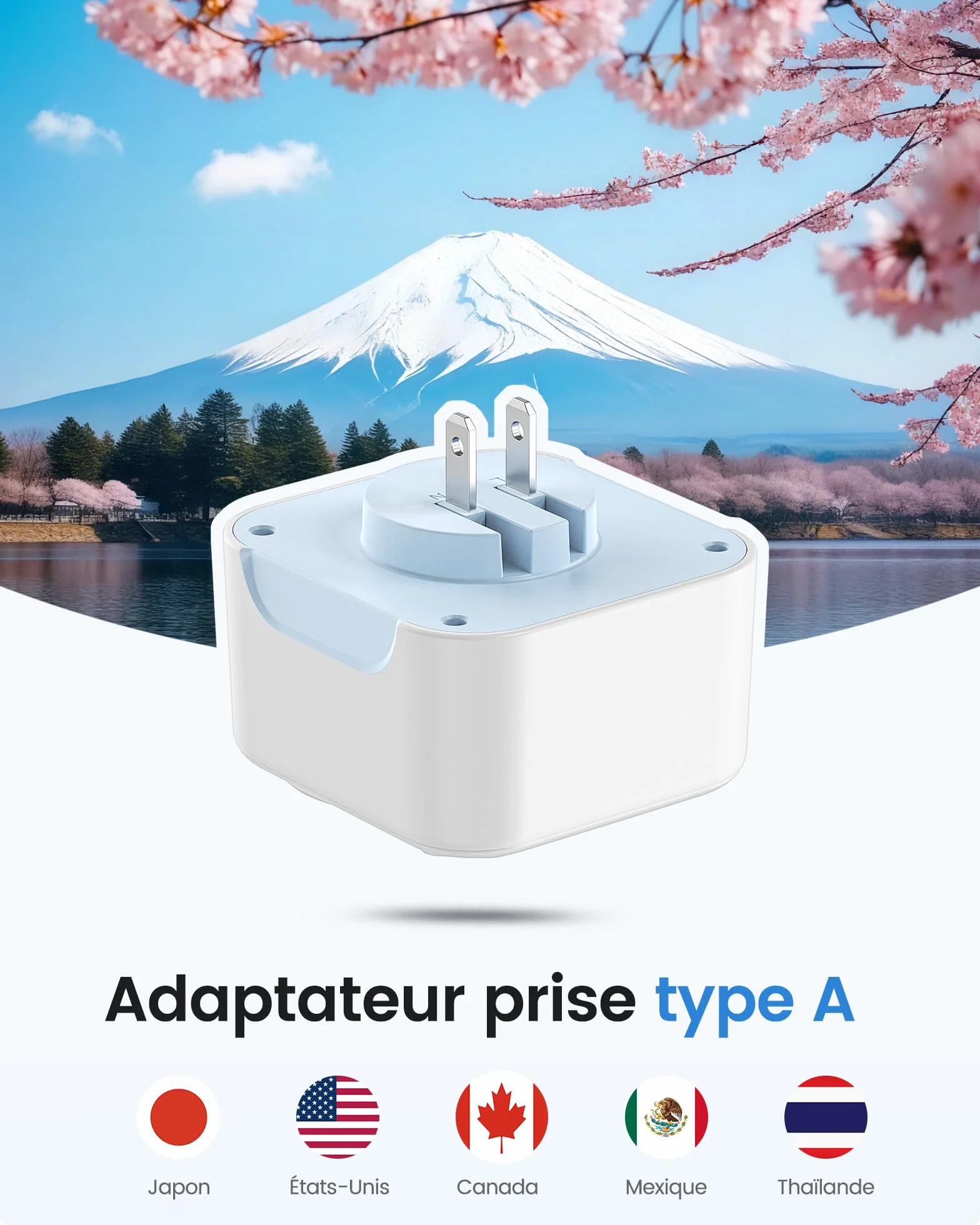 LENCENT Adaptateur de Voyage Prise Type A USB-C Pliable USA Canada Mexique Thaïlande